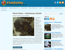 Tablet Screenshot of fishsabby.com